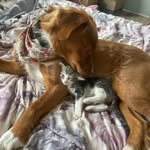 Hazel & Asher - @hazel_and_asher - Instagram