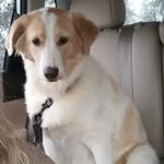 hazel Asher - @asher6964 - Instagram