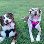 Hazel Grace & Asher Beau - @asherandhazel - Instagram