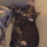 hazel & bentley - @hazel_and_bentley - Instagram