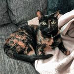 Hazel Benton - @princess_hazel_meow - Instagram