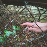 hazel benton; - @xylocept - Instagram