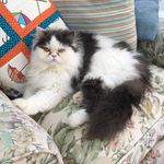Hazel Best - @richardhazelbest - Instagram