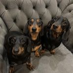 Hazel Biggs - Facebook