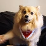 Hazel Birch - @birch_hazel - Instagram