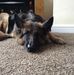 Hazel Birch - Facebook