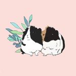 M A P L E   &   B I R C H - @hazel.and.birch - Instagram