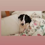 Hazel Bird - @hazelbird527 - Instagram