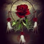 hazel bird - @mettie72 - Instagram