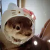 Hazel Blake - @hazel.blake6 - TikTok