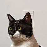 Hazel - @hazel.from.the.block - Instagram