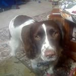 Hazel Bloomer - @hazelbloomer - Instagram