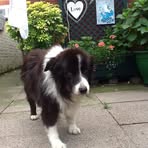 Hazel Blount Filcher - Facebook