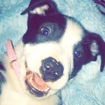 Hazel Blue💙 - @hazel_blue_ronk - Instagram