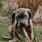 Hazel Blue - @iamhazelblue - Instagram