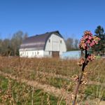 Hazelblueacres - @hazelblueacres - Instagram