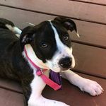 Hazel Helbock - @adventuresofhazelhelbock - Instagram