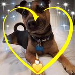 Hazel Bolt - Facebook