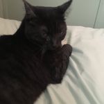 Hazel - @hazel_is_da_boss - Instagram