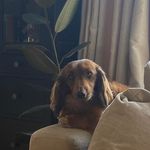 Hazel Boswell - @hazelboswell39 - Instagram