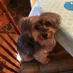 Hazel Bowen - @hbowen120 - Instagram