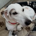 Hazel Bowles - Facebook