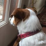 Hazel&Brady - @hazel_and_brady - Instagram