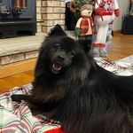 Hazel Mae Breen - @hazel.maes.days - Instagram