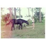 Wyandanch - @hazelbridge92 - Instagram