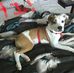 Hazel Bridgeforth - Facebook