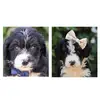 BruceandHazel - @bruceandhazel - TikTok