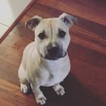 Hazel Bruce - @hazel__bruce - Instagram