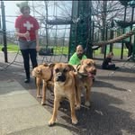 Hazel Bruce - @hazelbruce480 - Instagram
