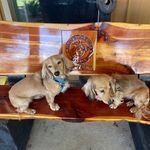 Hazel Jean Bruner Jones - @hazeljeanbrunerjones - Instagram