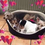 Hazel Buckley - @hazelbuckley - Instagram