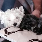 Hazel Buckley - Facebook