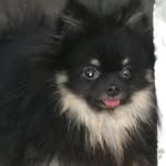 hazel buckley - @hazelbuckley74 - Instagram