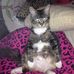 Hazel Buckner - Facebook