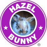 ℋᎯℤℰℒ ᎶℛᎯℂℰ - @hazel.bunn - Instagram