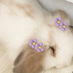 H A Z E L 🐰 - @hazel_bunny24 - Instagram