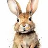 Hazel Bunny - @hazel.bunny6 - TikTok
