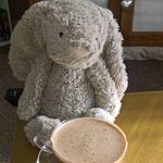 Hazel - @hazel_bunny_and_friends - Instagram