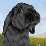 Hazel The Free Roam Bunny - @hazelnut_the_bunny - Instagram