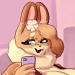 🐰 - @hazel_the_thicc_bunny - Instagram