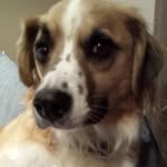 Janice Hazel Bunn - @janicehazelbunn - Instagram