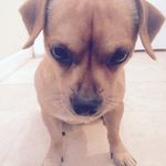 Hazel Wayne Burns - @hazel_burns - Instagram