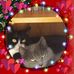 Hazel Burton - Facebook