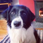 Hazel Burton - @hazelburton_kinsale - Instagram