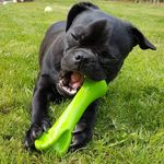 Hazel Butcher - @captain_the_jug_ - Instagram