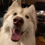 Hazel - @_hazel_butts_ - Instagram